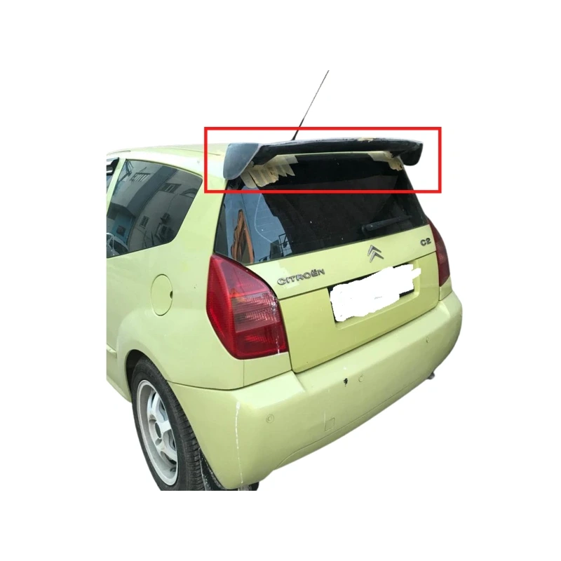 C2 Üniversal Spoiler Boyalı