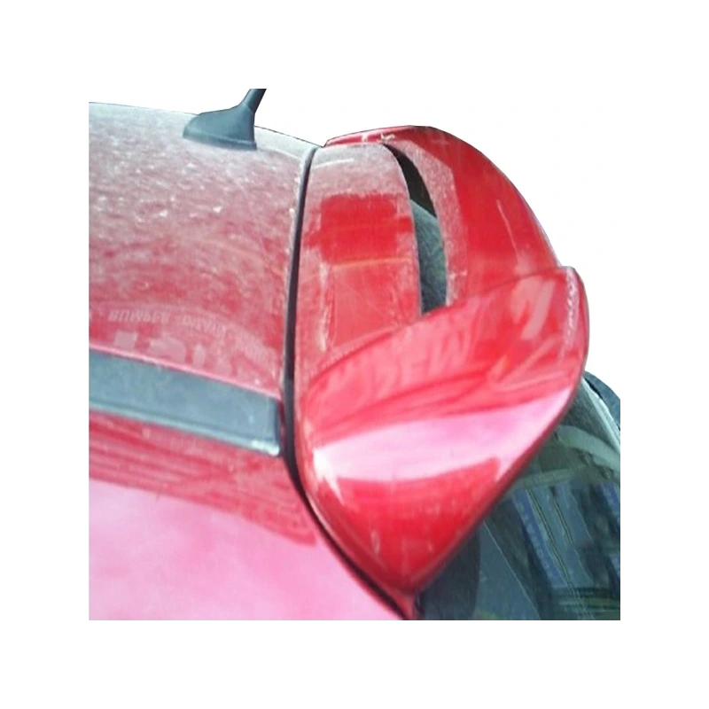 C3 Eski Kasa Spoiler Boyalı