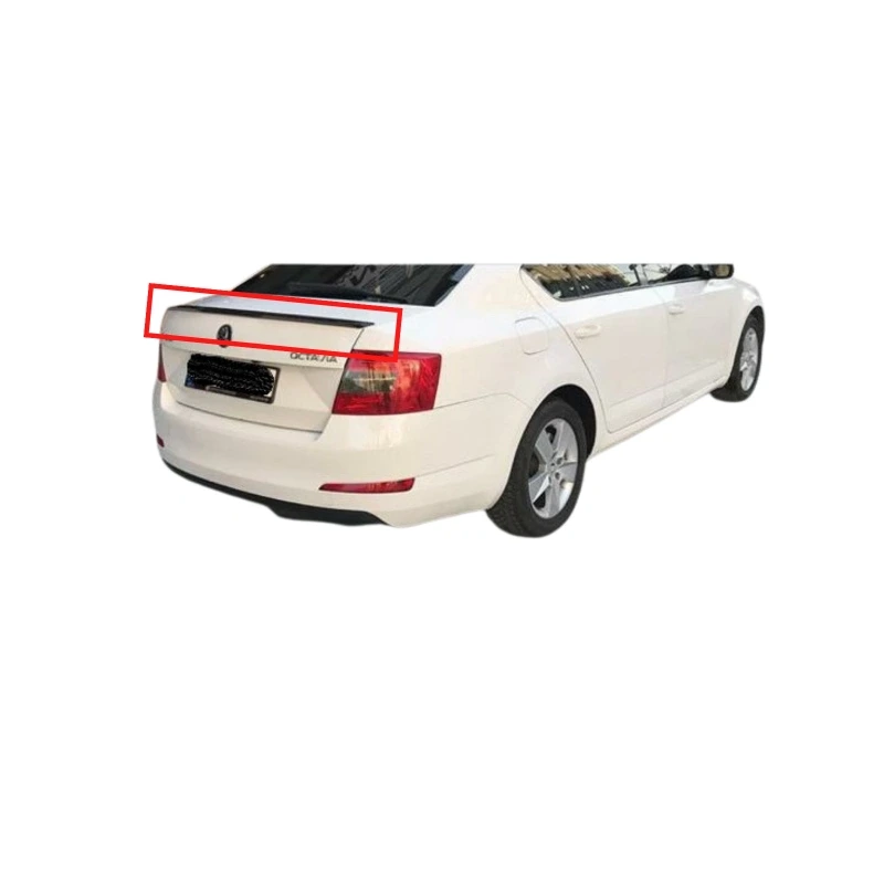 Octavia Spoiler Boyalı